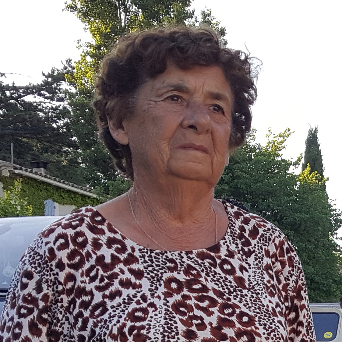 Photo de Liliane PORTIGLIATTI